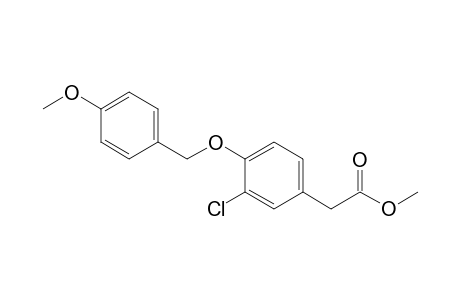 2-(p-methoxybenzoxy)-1-chloro-5-(methoxycarbonyl)methylbenzene