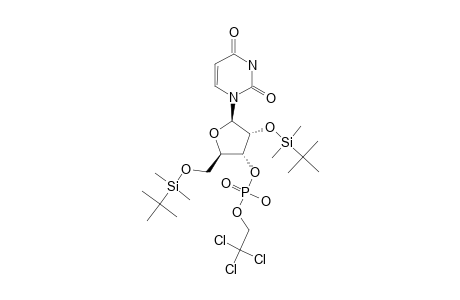 2',5'-DI-O-TERT.-BUTYLDIMETHYLSILYL-URIDINE-3'-(2,2,2-TRICHLOROETHYL-PHOSPHATE)