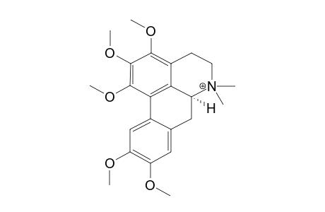 N-METHYL-PURPUERINE