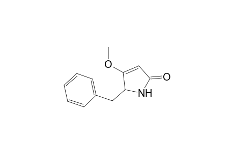 2-Benzyl-3-methoxy-1,2-dihydropyrrol-5-one