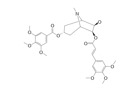 PERVILLEINE-A;3-ALPHA-(3,4,5-TRIMETHOXYBENZOYLOXY)-6-BETA-(E)-(3,4,5-TRIMETHOXYCINNAMOYLOXY)-7-BETA-HYDROXYTROPANE