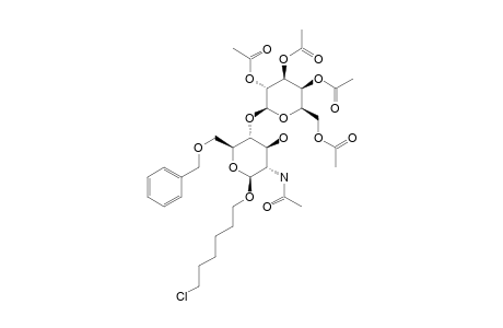 6-CHLOROHEXYL-2-ACETAMIDO-4-O-(2,3,4,6-TETRA-O-ACETYL-BETA-D-GALACTOPYRANOSYL)-6-O-BENZYL-2-DEOXY-BETA-D-GLUCOPYRANOSIDE