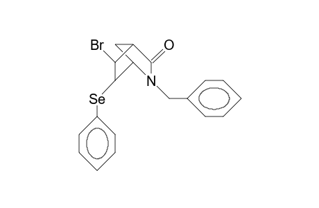 2-Benzyl-5-exo-bromo-6-endo-phenylselenenyl-2-aza-bicyclo(2.2.1)heptan-3-one