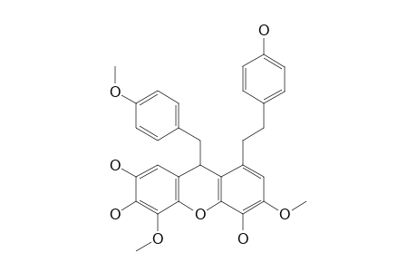 DENDROCANDIN-J