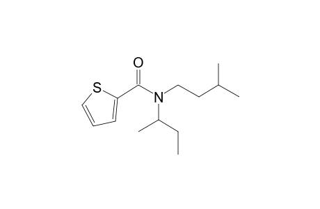 Thiophene-2-carboxamide, N-(2-butyl)-N-(3-methylbutyl)-