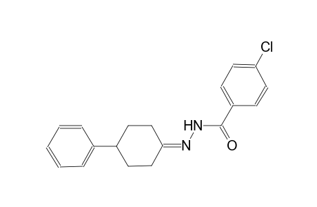 4-chloro-N'-(4-phenylcyclohexylidene)benzohydrazide