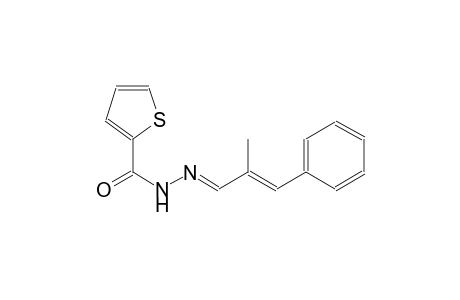 N'-[(E,2E)-2-methyl-3-phenyl-2-propenylidene]-2-thiophenecarbohydrazide