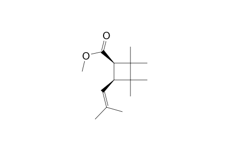 Cyclobutanecarboxylic acid, 2,2,3,3-tetramethyl-4-(2-methyl-1-propenyl)-, methyl ester, cis-(.+-.)-