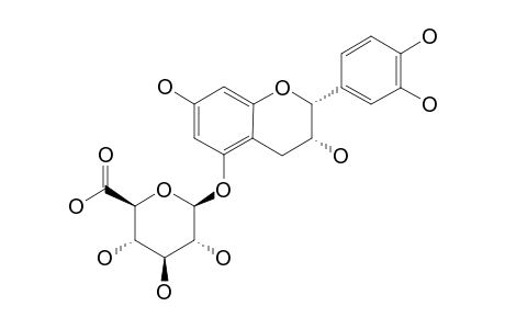 EPICATECHIN-5-O-BETA-D-GLUCURONIDE