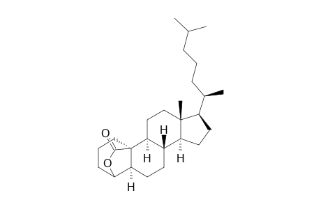 4,10-(Epoxymethano)-10H-cyclopenta[a]phenanthrene, cholestan-19-oic acid deriv.