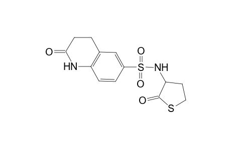 2-Oxo-N-(2-oxothiolan-3-yl)-1,2,3,4-tetrahydroquinoline-6-sulfonamide