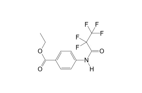 Benzocaine PFP