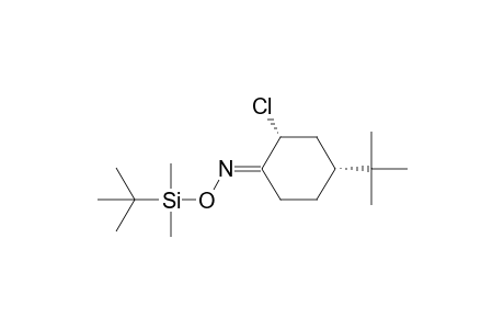 (E)-cis-4-tert-Butyl-2-chlorocyclohexan-1-one