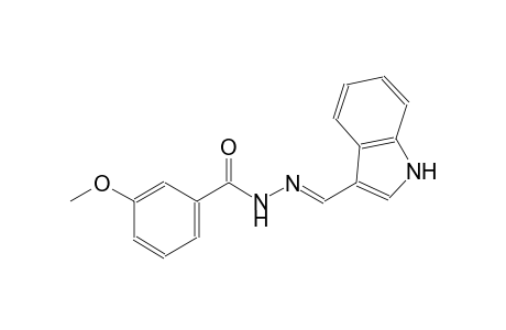 N'-[(E)-1H-indol-3-ylmethylidene]-3-methoxybenzohydrazide
