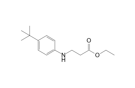 Ethyl 3-(4-tert-butylphenylamino)propanoate
