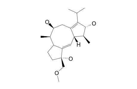 BRASSICICENE-H