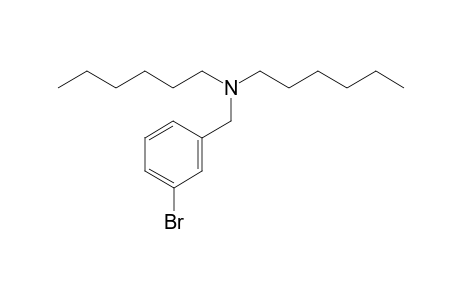 3-Bromobenzylamine, N,N-dihexyl-