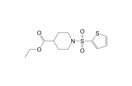 4-piperidinecarboxylic acid, 1-(2-thienylsulfonyl)-, ethyl ester