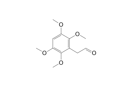 2-(2,3,5,6-Tetramethoxyphenyl)acetaldehyde