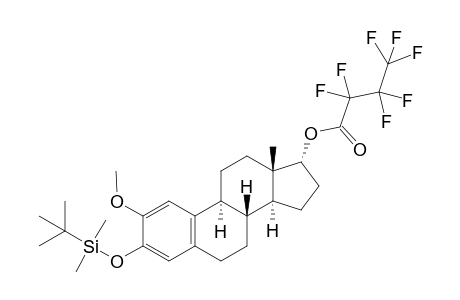 3-TBDMS-17-hfb of e-2-methoxy-3,17.beta.-diol