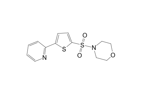 Thiophene, 2-(4-morpholylsulfonyl)-5-(2-pyridyl)-