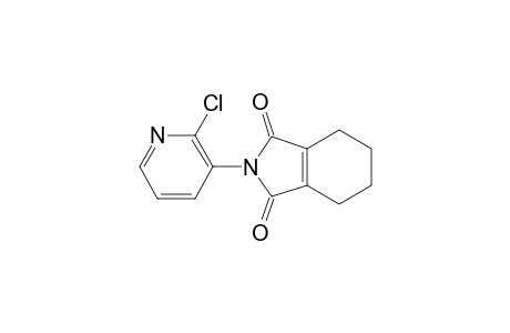 1H-Isoindole-1,3(2H)-dione, 2-(2-chloro-3-pyridinyl)-4,5,6,7-tetrahydro-