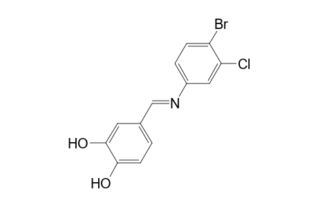 4-((E)-[(4-Bromo-3-chlorophenyl)imino]methyl)-1,2-benzenediol