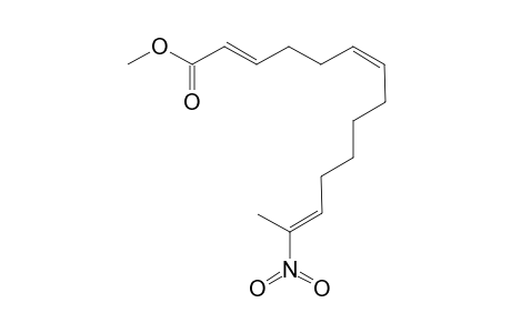 METHYL-(2E,6Z,12E)-13-NITROTETRADECA-2,6,12-TRIENOATE