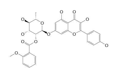 GLADIATOSIDE-C2;KAEMPFEROL-7-O-(2-O-ORTHO-ANISYL)-ALPHA-L-RHAMNOPYRANOSIDE