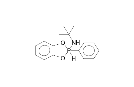 2-PHENYL-2-TERT-BUTYLAMINO-2-HYDRO-4,5-BENZO-1,3,2-DIOXAPHOSPHOLANE