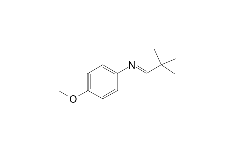 Benzenamine, 4-methoxy-N-(2,2-dimethylpropenylidene)-