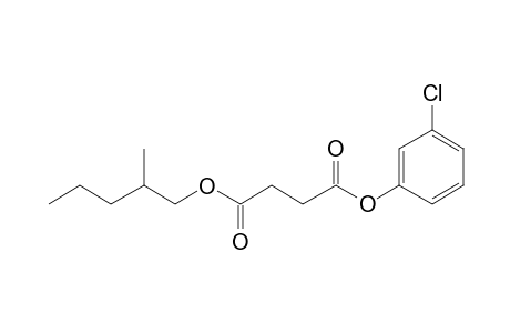 Succinic acid, 3-chlorophenyl 2-methylpentyl ester