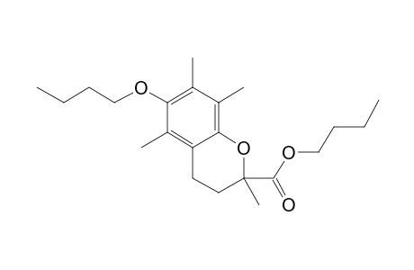 6-(N-Butyl)oxy-2,5,7,8-tetramethylchroman-2-carboxylic acid, N-butyl ester