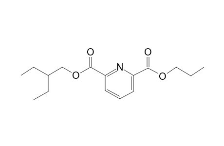 2,6-Pyridinedicarboxylic acid, 2-ethylbutyl propyl ester