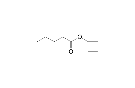 Cyclobutyl pentanoate