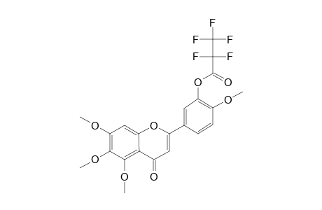 3'-Pentafluoropropionyloxy-5,6,7,4'-tetramethoxyflavone