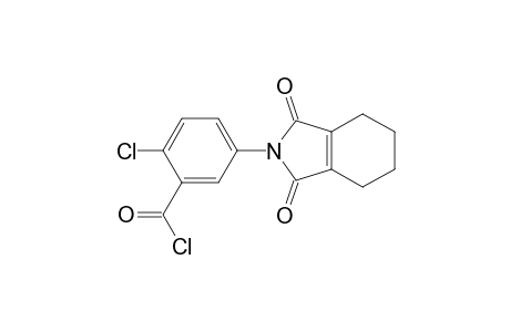 Benzoyl chloride, 2-chloro-5-(1,3,4,5,6,7-hexahydro-1,3-dioxo-2H-isoindol-2-yl)-