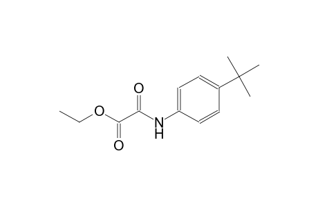 acetic acid, [[4-(1,1-dimethylethyl)phenyl]amino]oxo-, ethyl ester