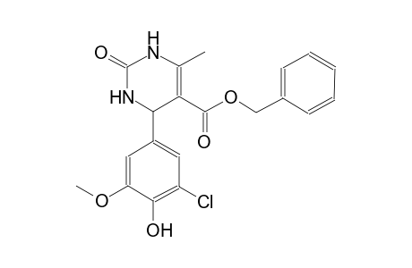 benzyl 4-(3-chloro-4-hydroxy-5-methoxyphenyl)-6-methyl-2-oxo-1,2,3,4-tetrahydro-5-pyrimidinecarboxylate