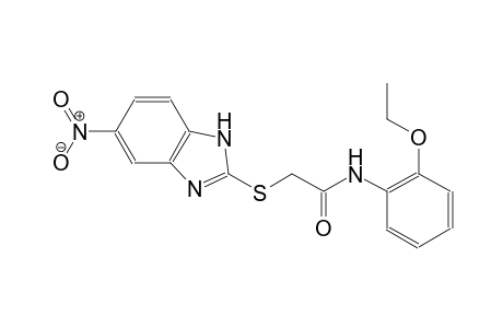 N-(2-ethoxyphenyl)-2-[(5-nitro-1H-benzimidazol-2-yl)sulfanyl]acetamide
