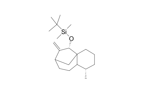 cis-2-(t-butyldimethylsiloxy)-3-methylene-8-methyltricyclo[5.4.0.1(1,4)]dodecane