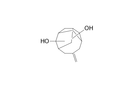 2,8-Dimethyl-5-methylenetricyclo[5.3.1.1(3,9)]dodecane-2-syn,8-syn-diol