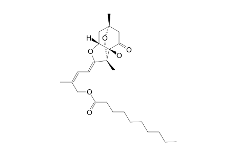 LIGNIVOLONE_C