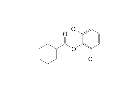 Cyclohexanecarboxylic acid, 2,6-dichlorophenyl ester