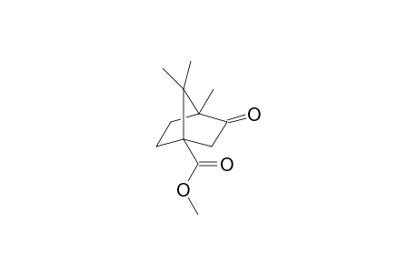 4-methoxycarbonyl camphor