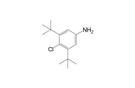 4-CHLORO-3,5-DI-tert-BUTYLANILINE