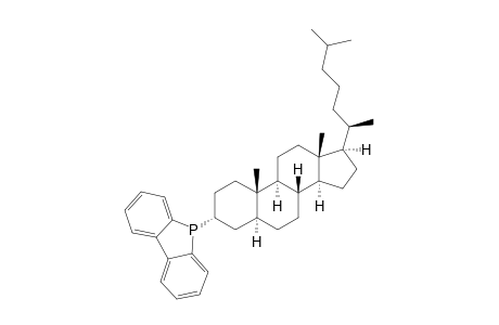 5H-Benzo[b]phosphindole, 5-[(3.alpha.,5.alpha.)-cholestan-3-yl]-