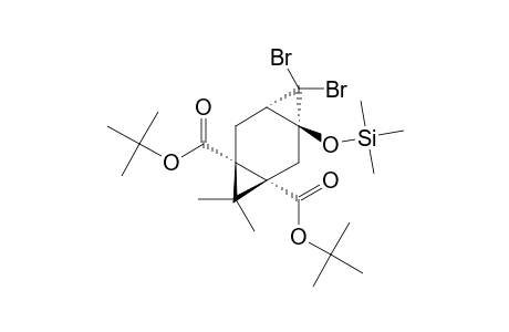 DI-TERT.-BUTYL-(1-ALPHA,3-BETA,5-BETA,7-ALPHA)-4,4-DIBrOMO-3-(TRIMETHYLSILYLOXY)-8,8-DIMETHYL-TRICYClO-[5.1.0.0]-OCTANE-1,7-DICARBOXYLATE