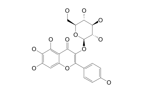 6-HYDROXYKAEMPFEROL-3-O-BETA-D-GLUCOPYRANOSIDE