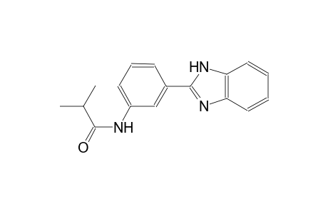 N-[3-(1H-benzimidazol-2-yl)phenyl]-2-methylpropanamide
